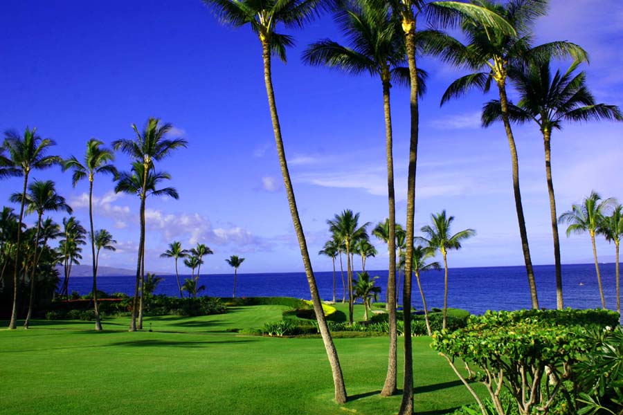 Wailea Condo 954646