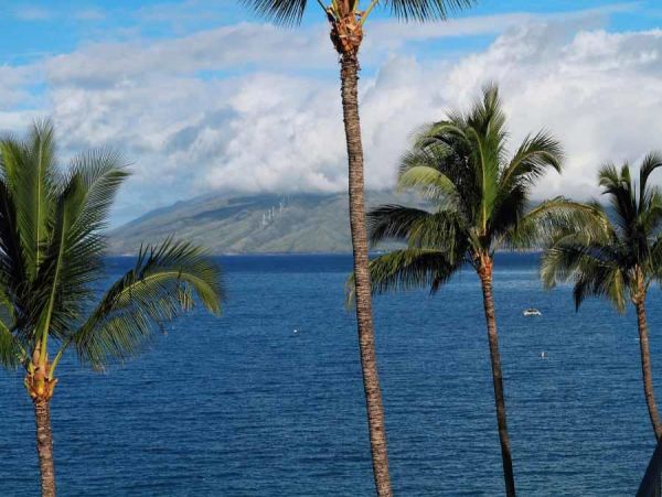Kihei Condo 954649