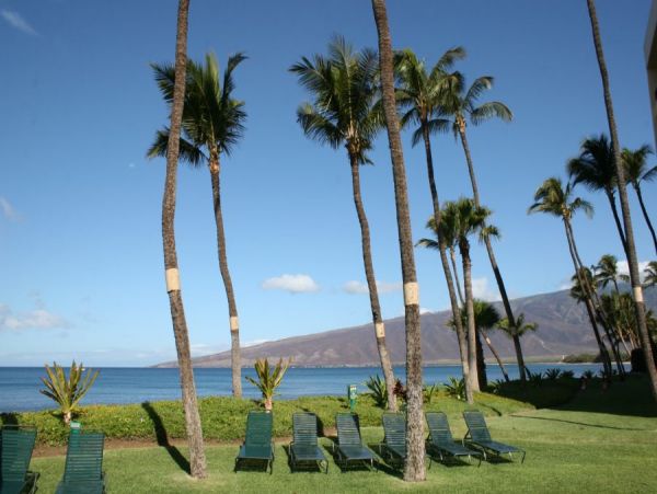 Kihei Condo 954653