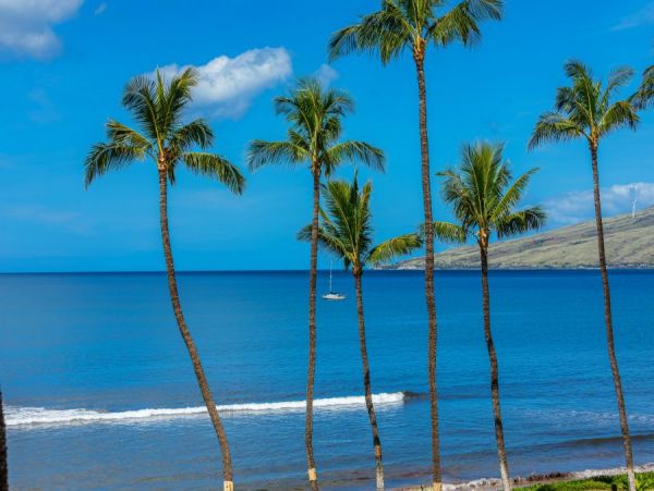 Kihei Condo 954655