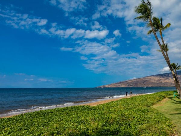 Kihei Condo 954655