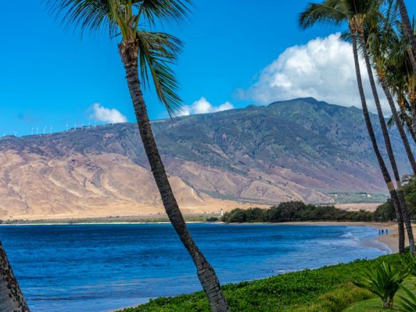 Kihei Condo 954655