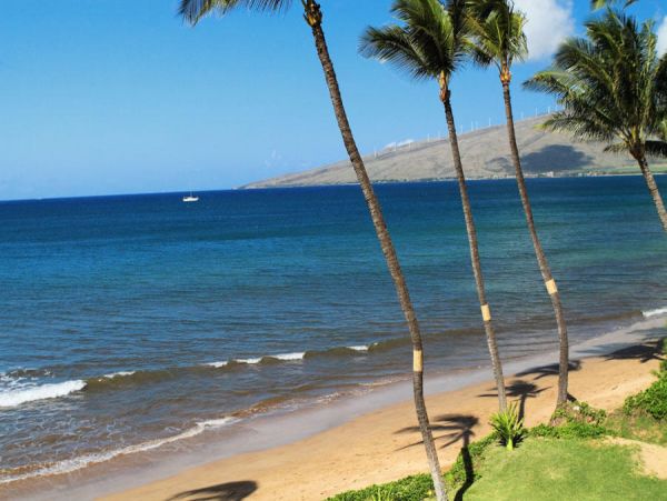 Kihei Condo 954658