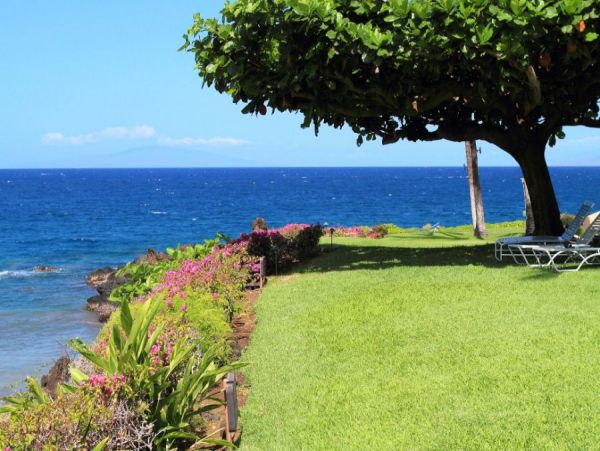 Beachfront Vacation Rental 2 Bedroom & Amazing Views