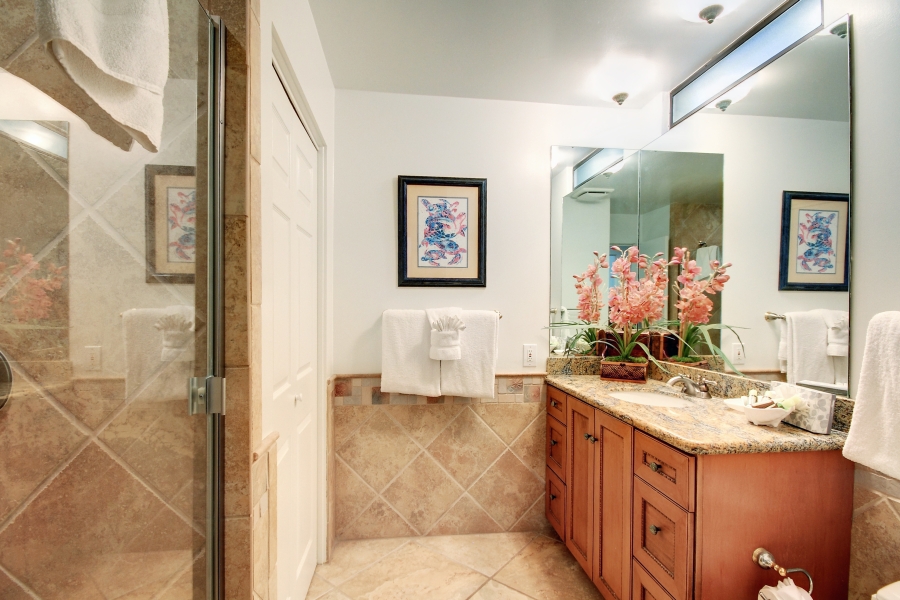 Wailea Condo 954661
