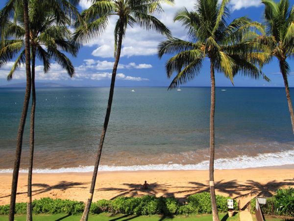 Kihei Condo 954669