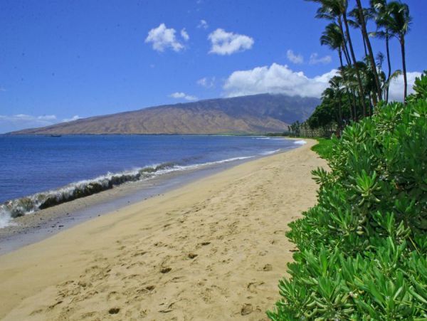 Kihei Condo 954669