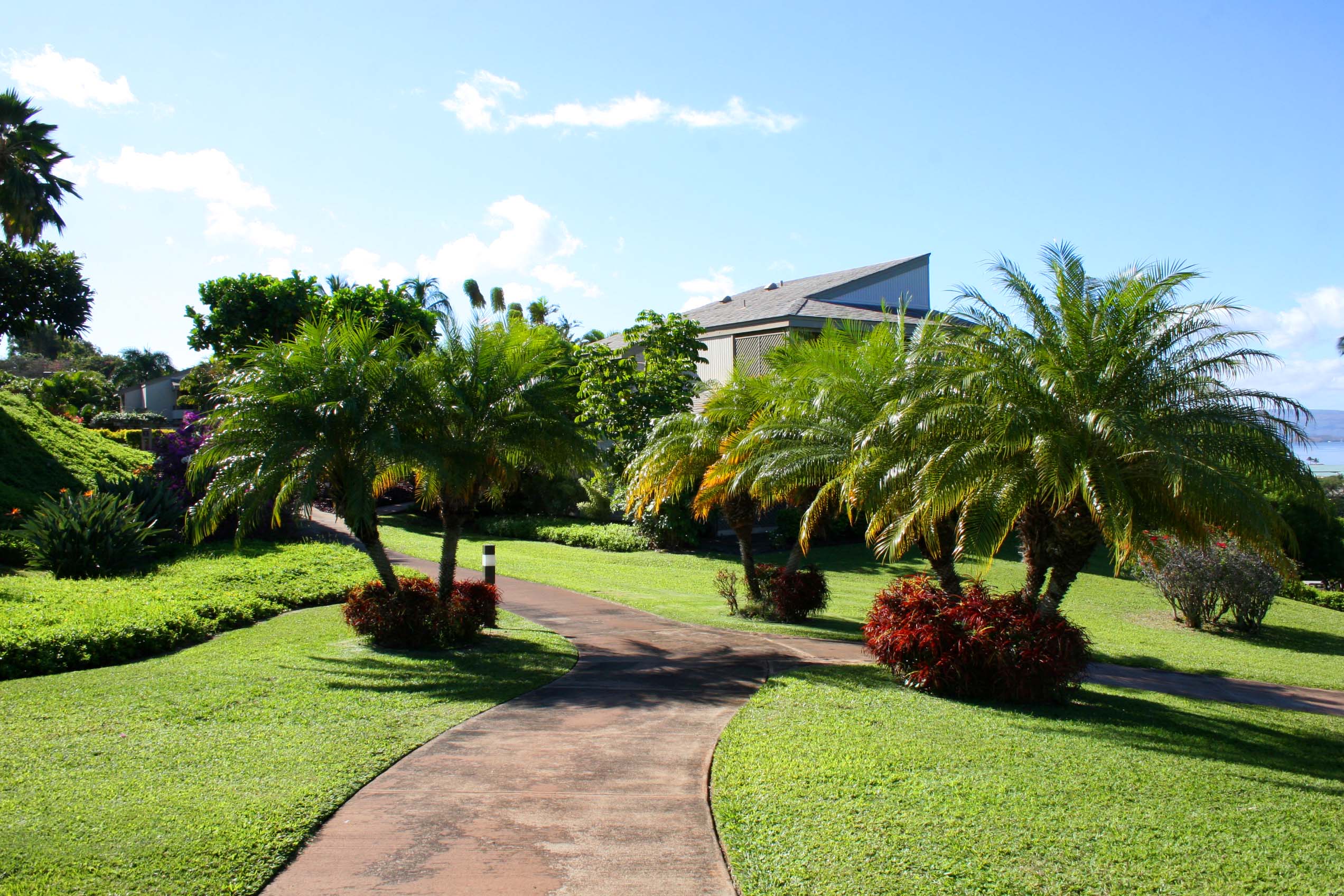 Wailea Condo 954679