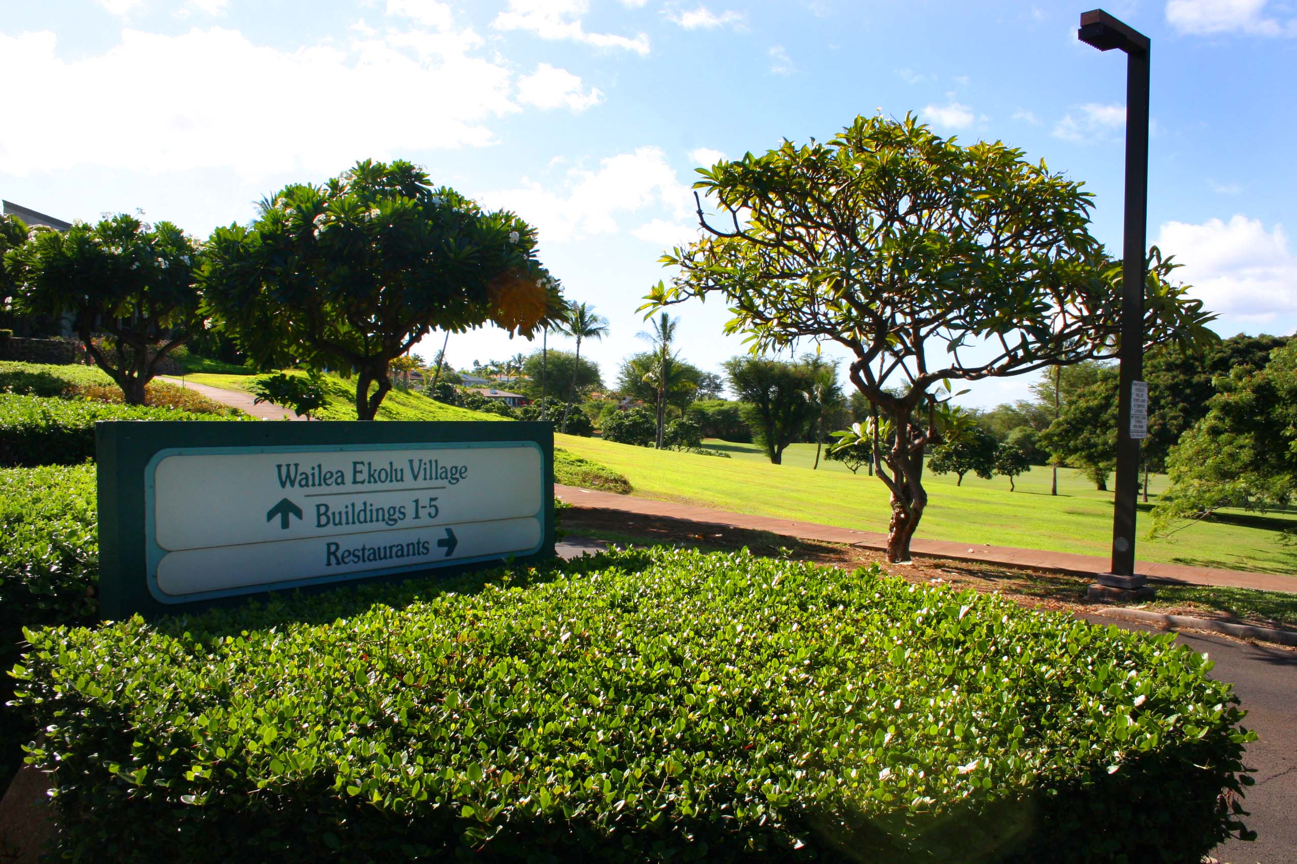 Wailea Condo 954679