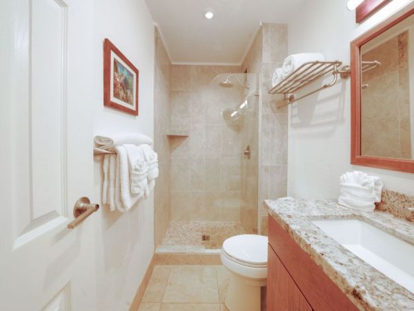 Kihei Condo 954682