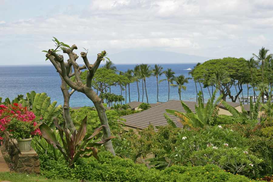 Wailea Condo 954685