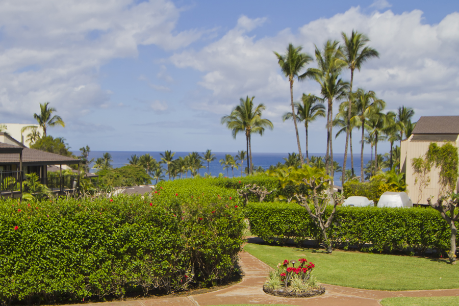 Wailea Condo 954685