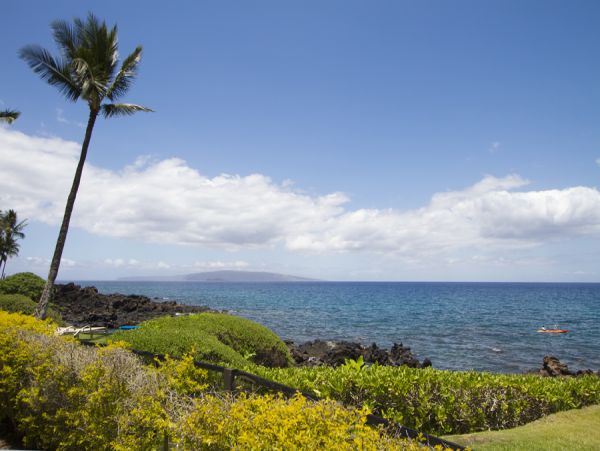 Wailea Condo 954685
