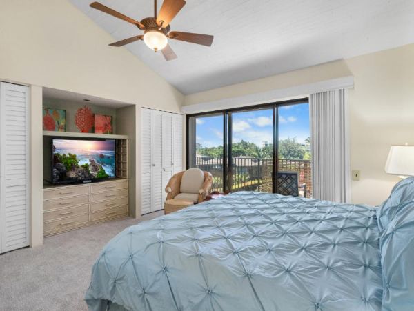 Wailea Condo 954694