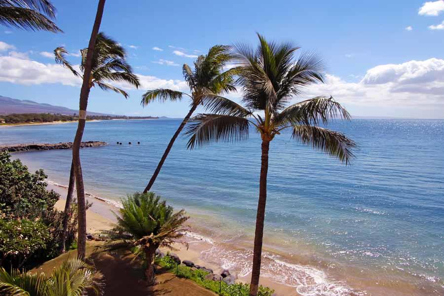 Kihei Condo 954695