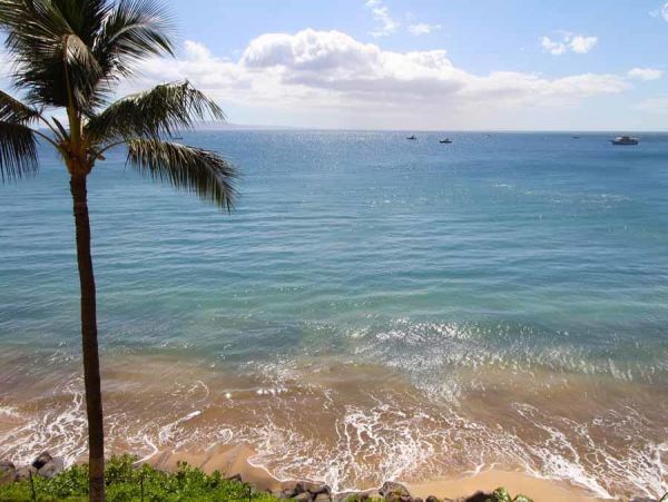 Kihei Condo 954695