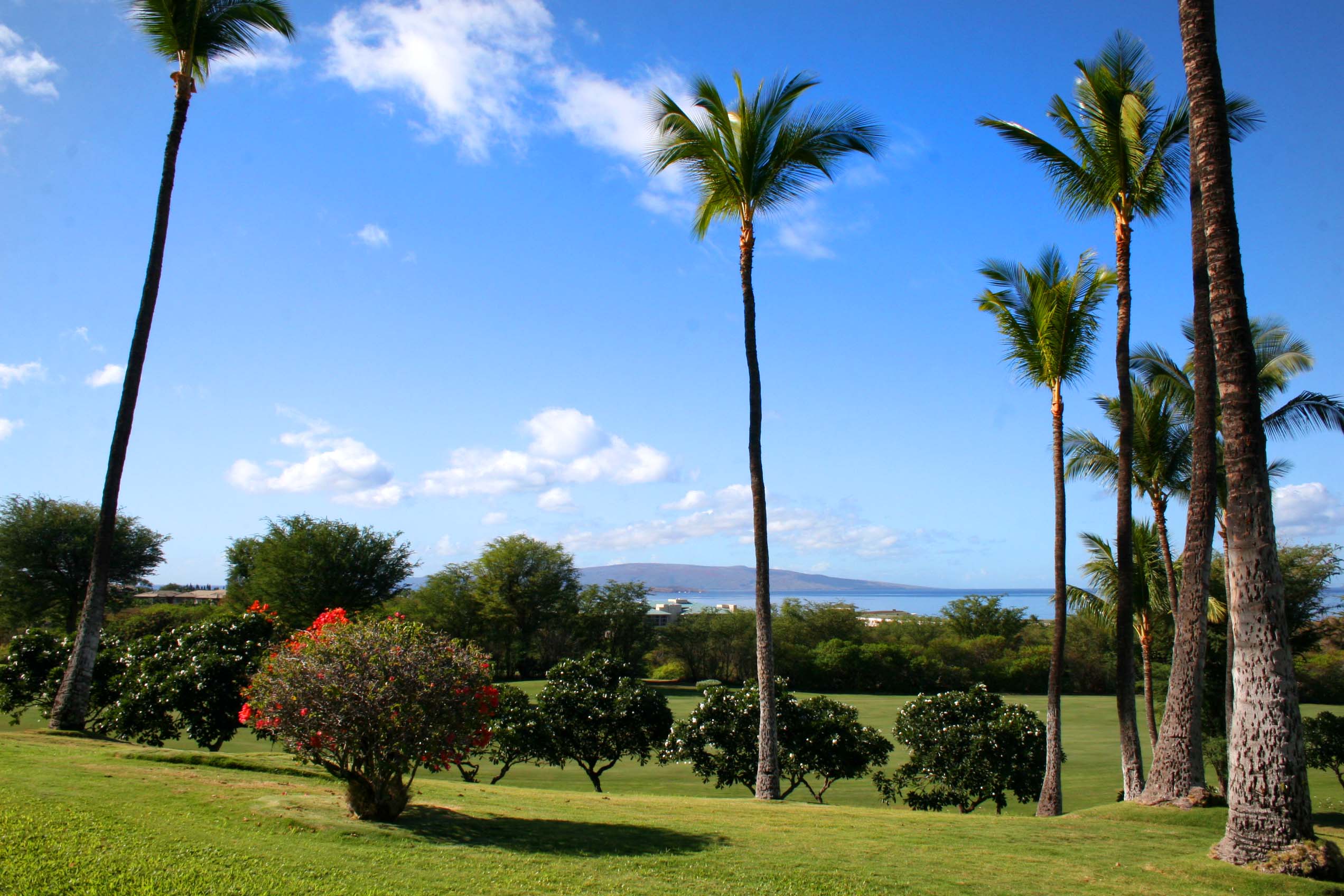Wailea Condo 954700
