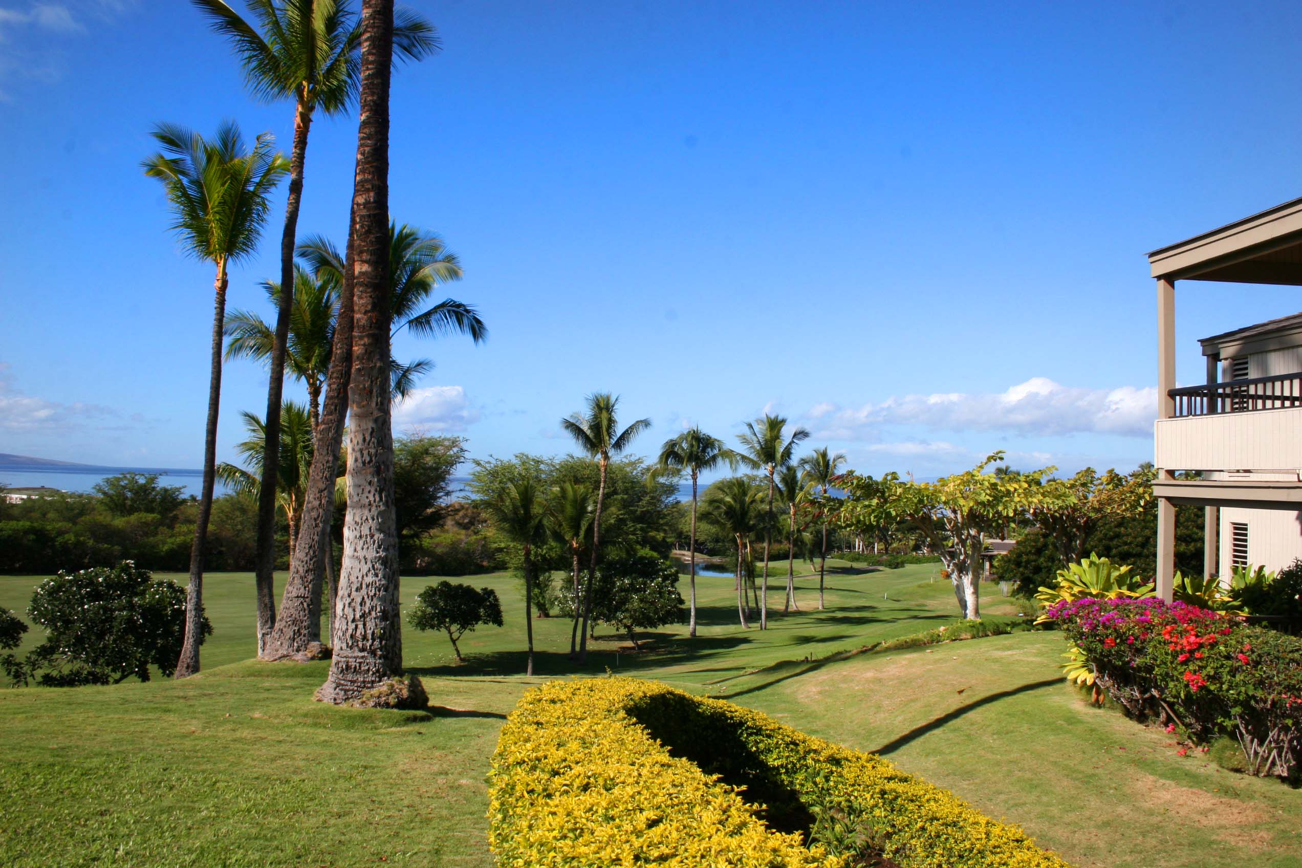 Wailea Condo 954700