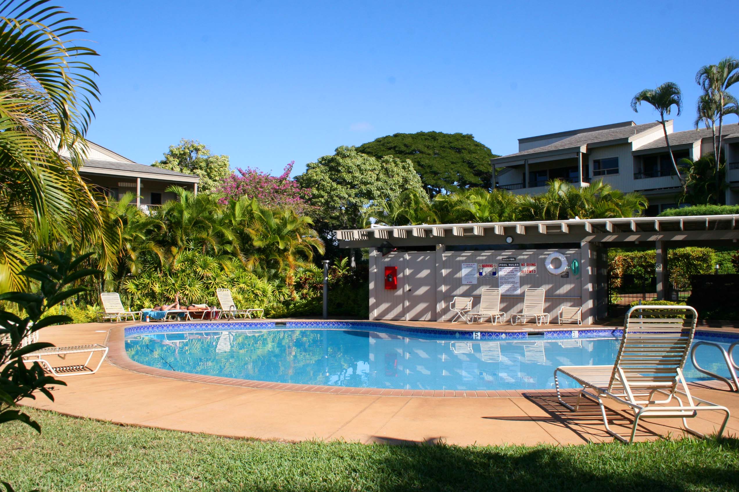 Wailea Condo 954700