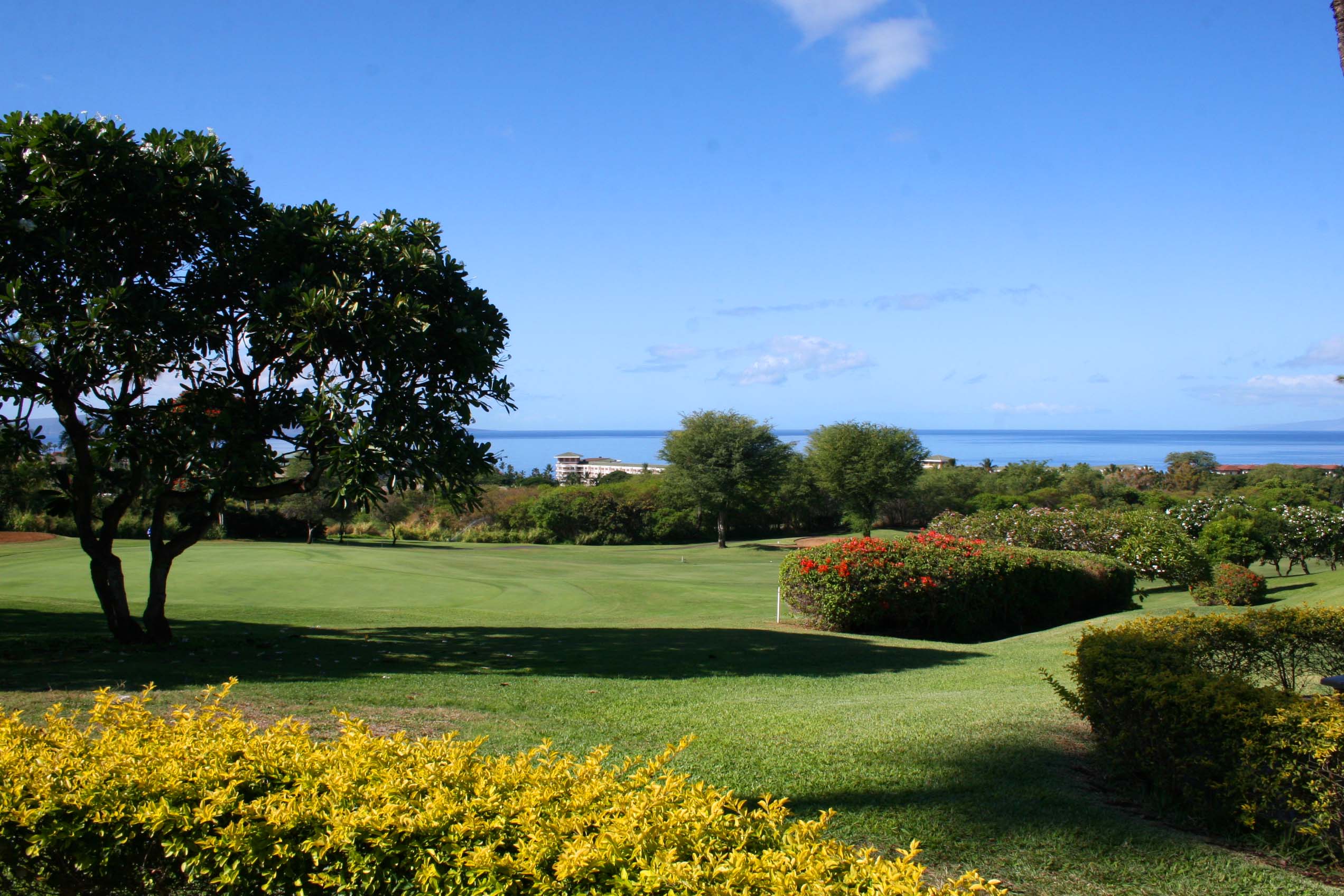 Wailea Condo 954700
