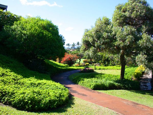 Wailea Condo 954700