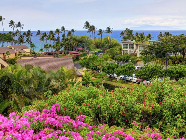 Wailea Condo 954701
