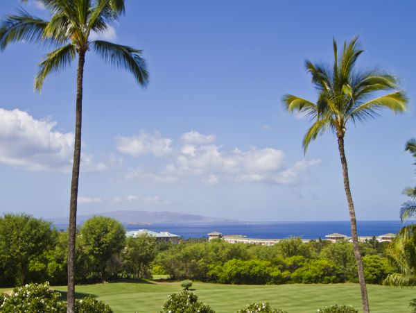 Wailea Condo 954706