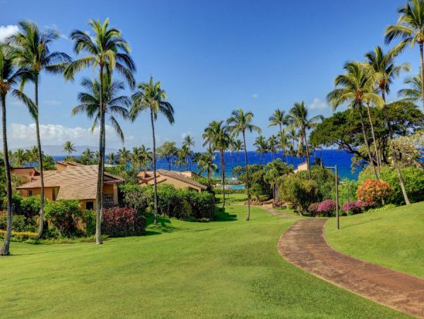 Wailea Condo 954706
