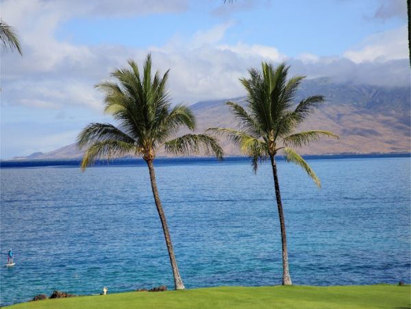 Kihei Condo 954707