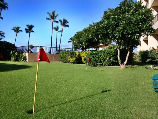 Kihei Condo 954710