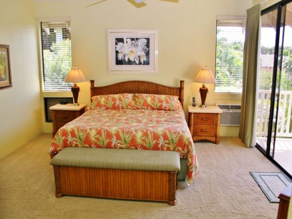 Wailea Condo 954711