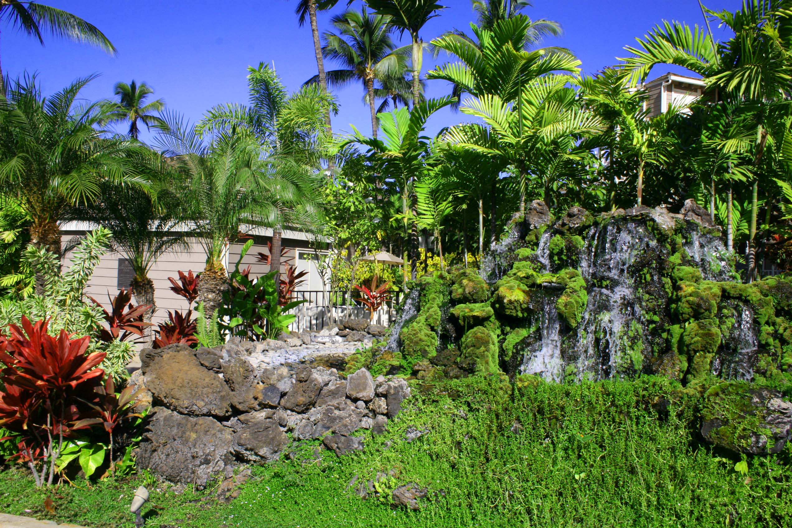 Wailea Condo 954711