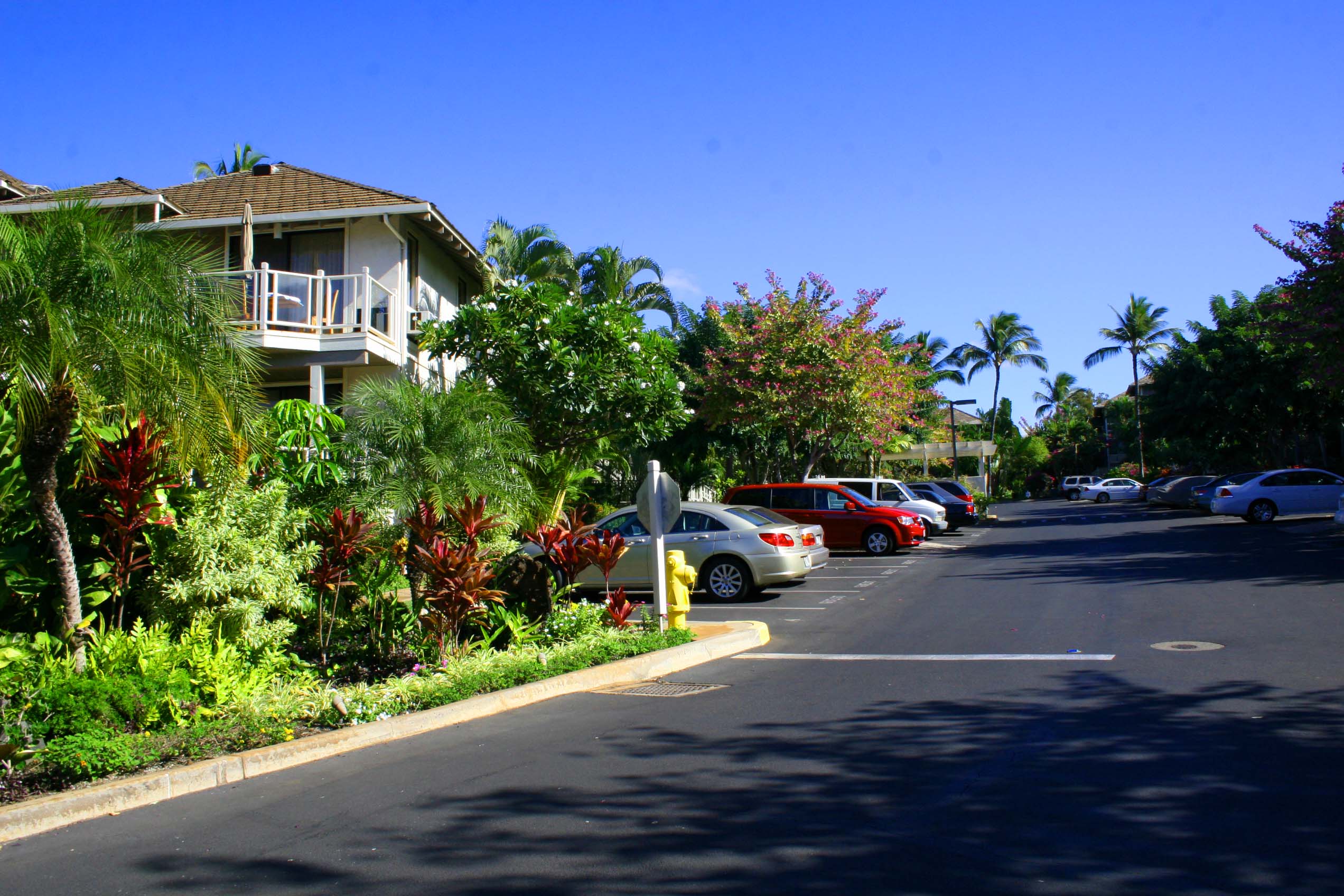 Wailea Condo 954711