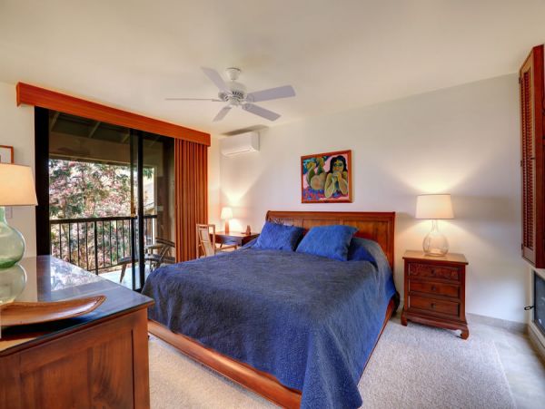 Wailea Home 954712