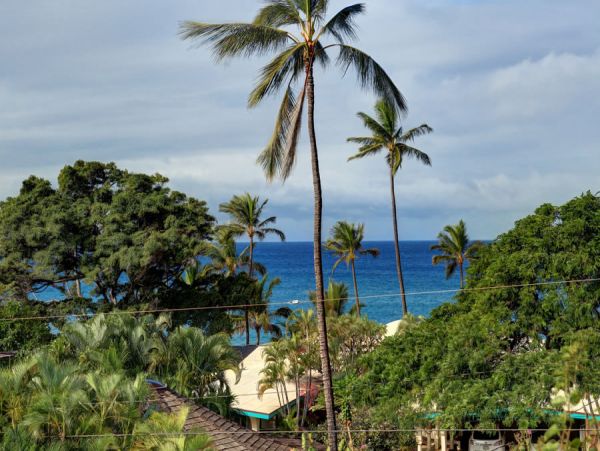 Wailea Home 954712