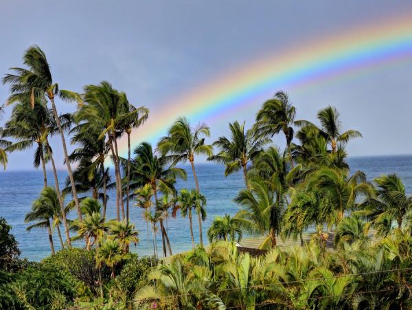 Wailea Home 954712