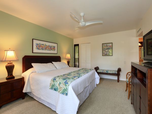 Wailea Condo 954716