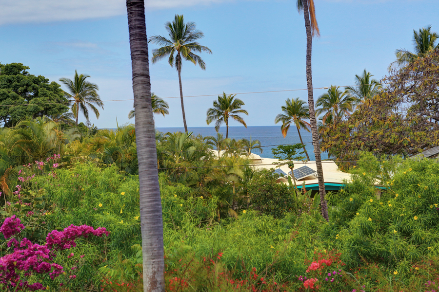 Wailea Condo 954717