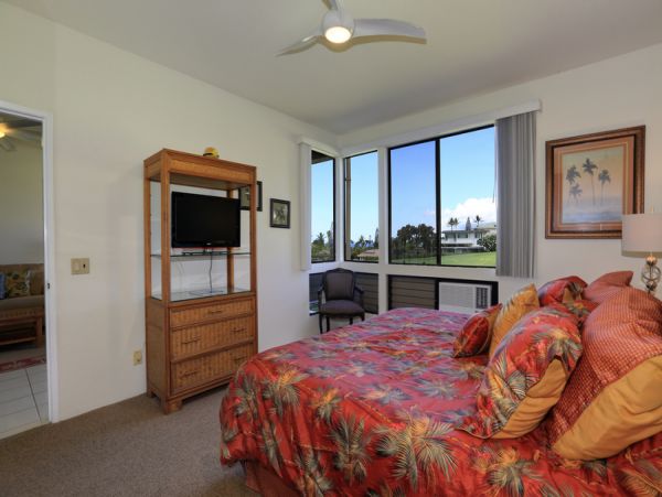 Wailea Condo 954722