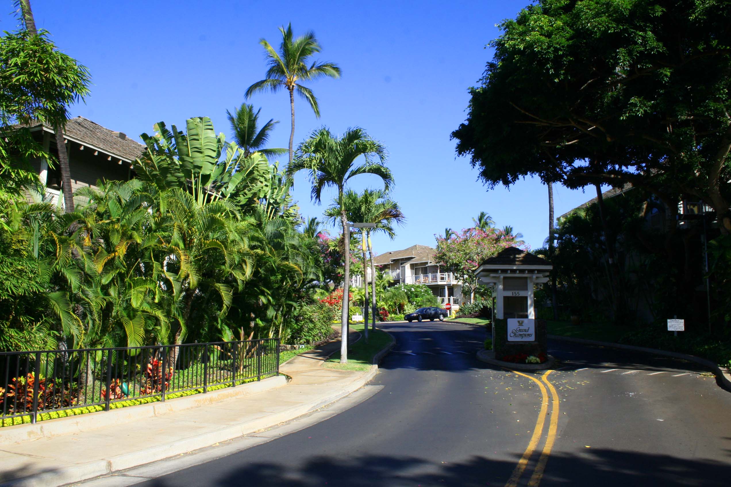 Wailea Condo 954722