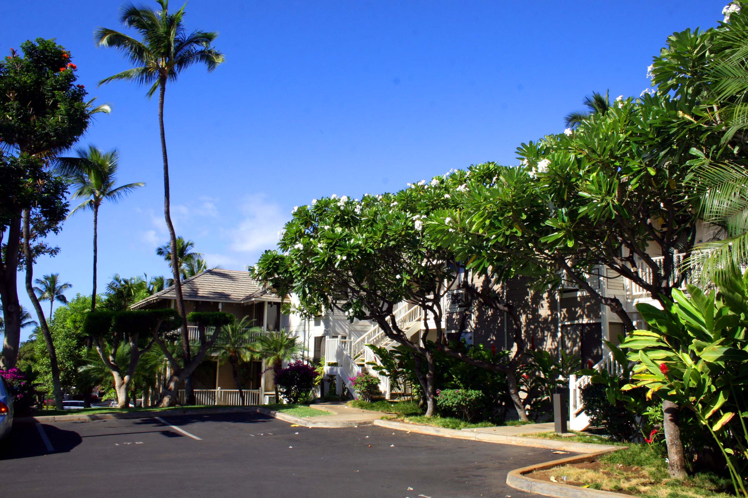 Wailea Condo 954722