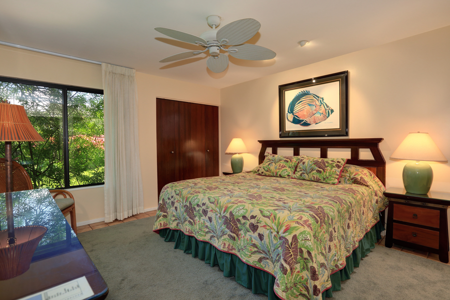 Wailea Home 954723
