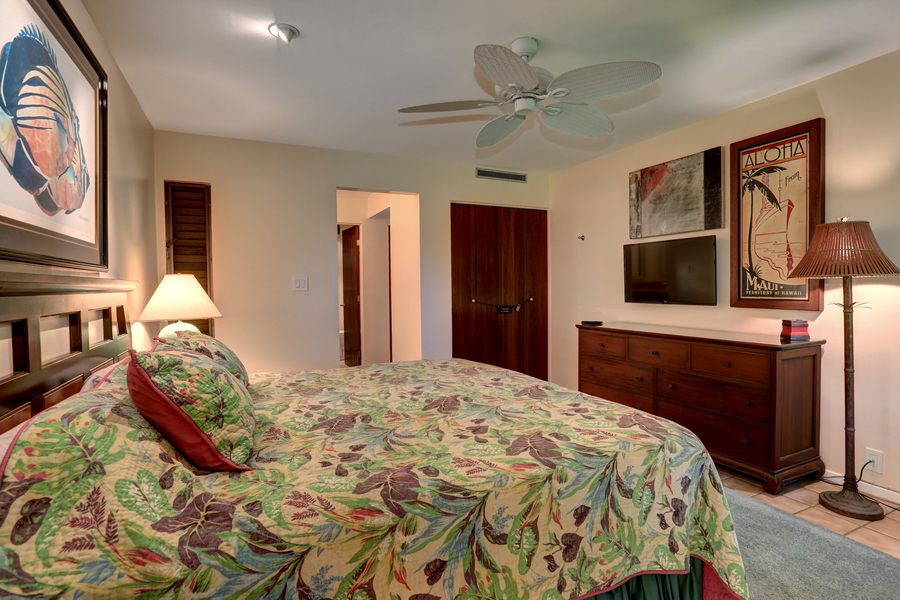 Wailea Home 954723