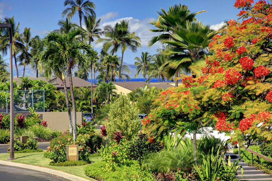 Wailea Home 954723