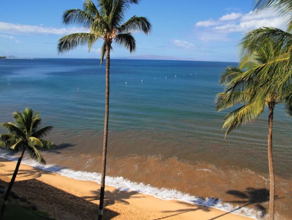 Kihei Condo 954724