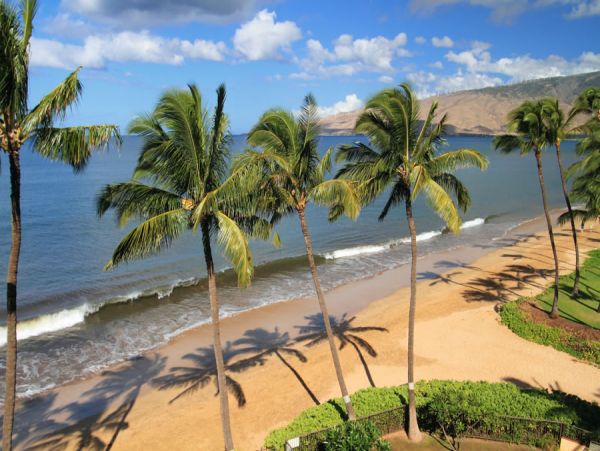 Kihei Condo 954724