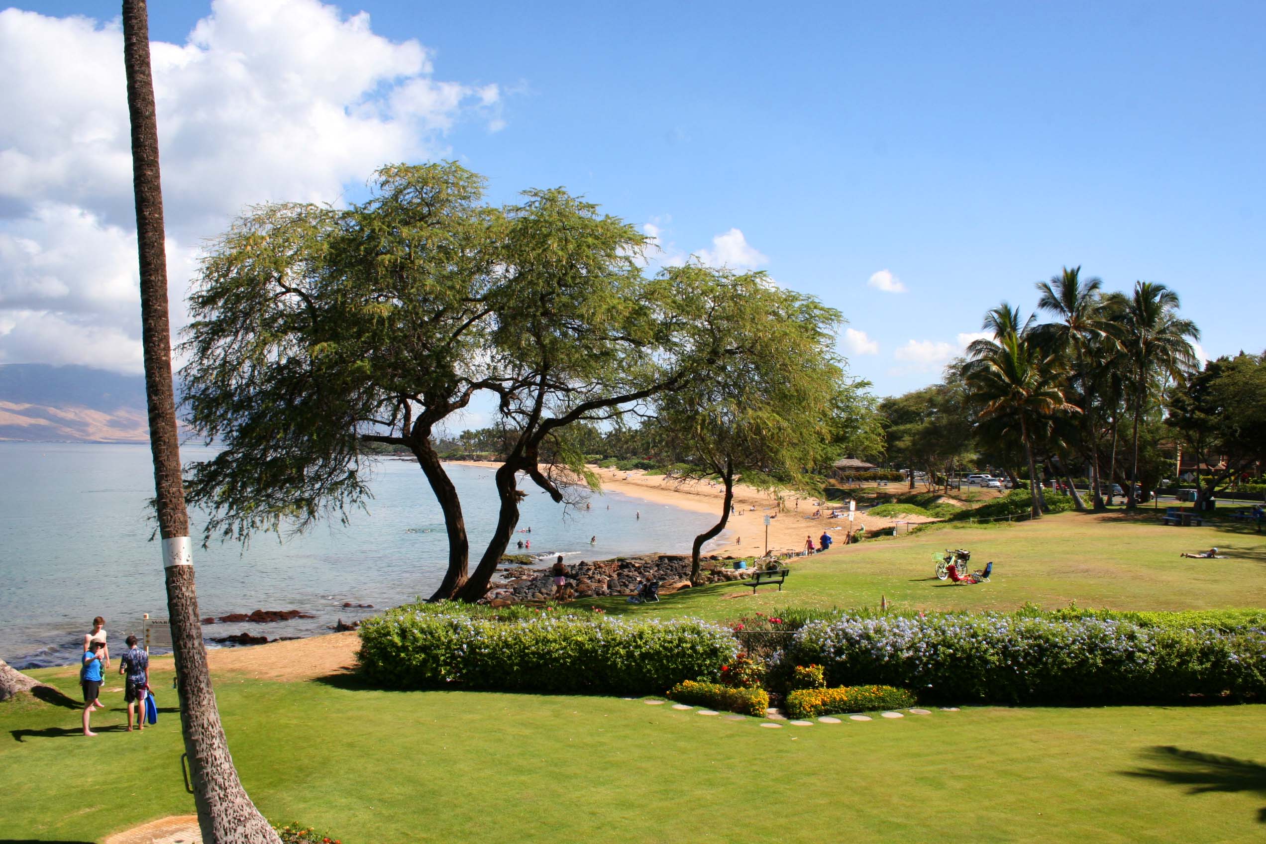 Oceanfront Maui Vacation Rental in South Kihei