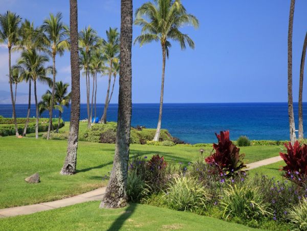 Wailea Condo 954730