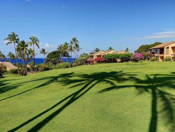 Wailea Condo 954731