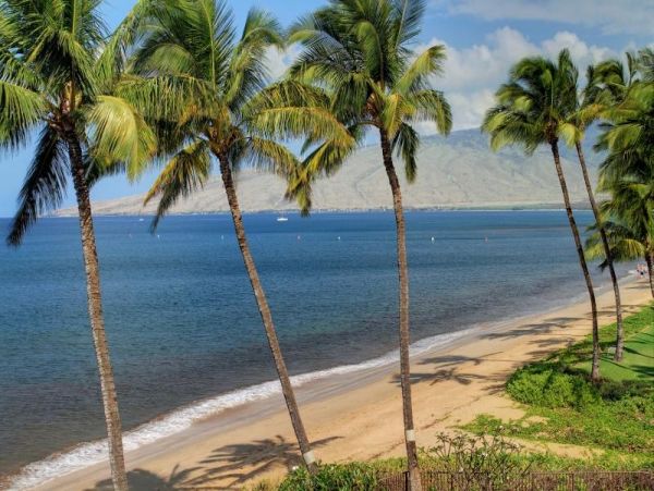 Kihei Condo 954736